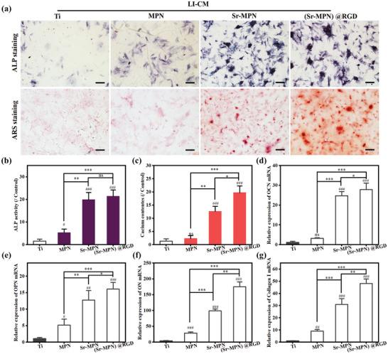 https://cdn.ncbi.nlm.nih.gov/pmc/blobs/22a4/11884616/1a6457da6001/ADVS-12-2410595-g008.jpg