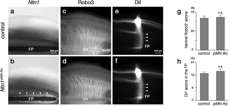 https://cdn.ncbi.nlm.nih.gov/pmc/blobs/22a4/5607380/a74d19412b61/41598_2017_12269_Fig5_HTML.jpg