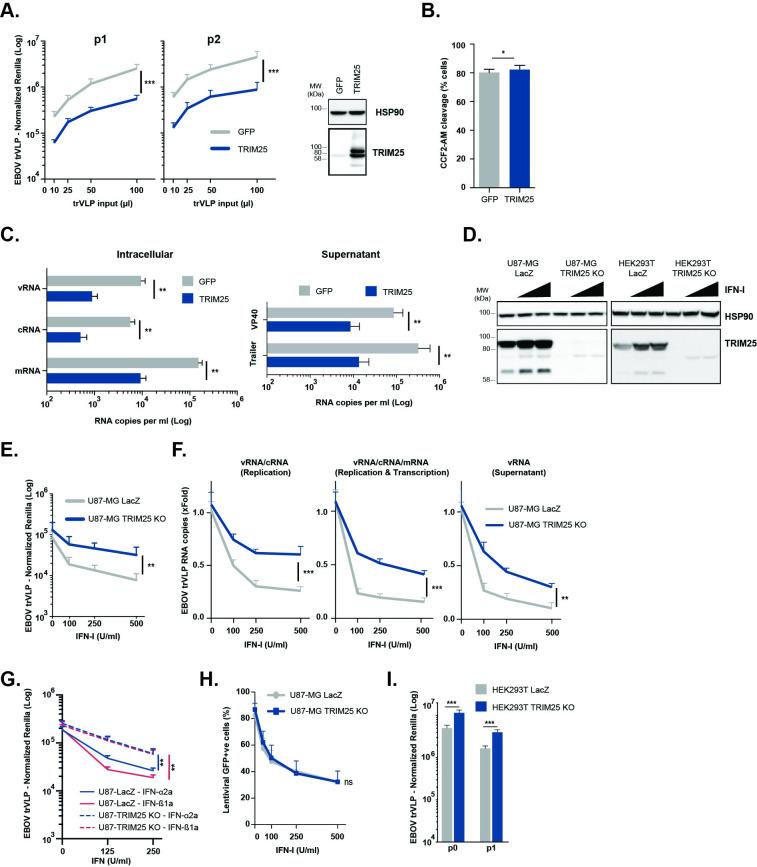 https://cdn.ncbi.nlm.nih.gov/pmc/blobs/22a4/9119685/bd05e2ea8a7b/ppat.1010530.g002.jpg