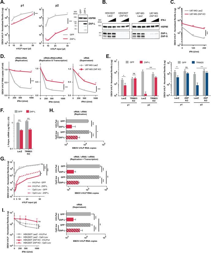 https://cdn.ncbi.nlm.nih.gov/pmc/blobs/22a4/9119685/d53435322c1c/ppat.1010530.g004.jpg