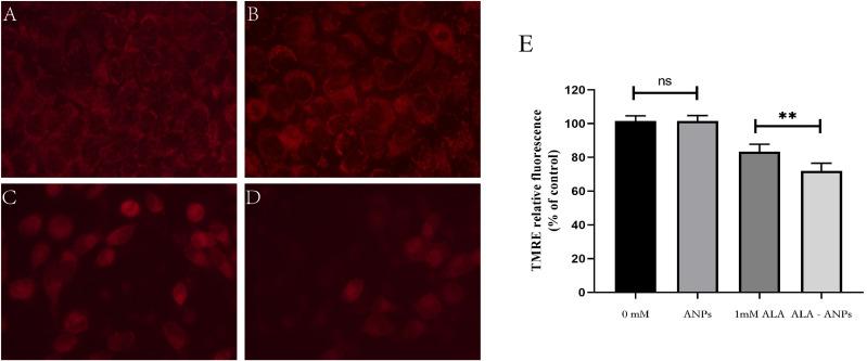 https://cdn.ncbi.nlm.nih.gov/pmc/blobs/22a8/11149628/718a8a80e3af/CCID-17-1297-g0007.jpg