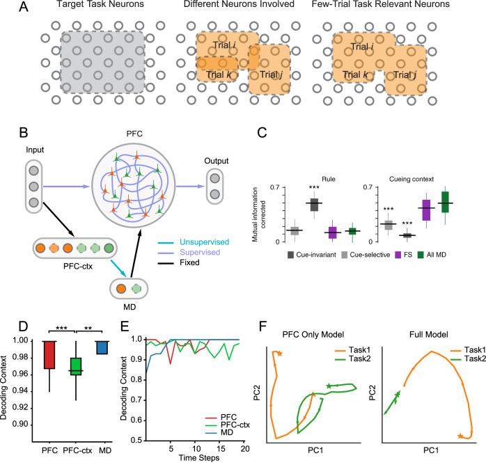 https://cdn.ncbi.nlm.nih.gov/pmc/blobs/22a9/11436643/a0bd9515787d/41467_2024_52289_Fig5_HTML.jpg
