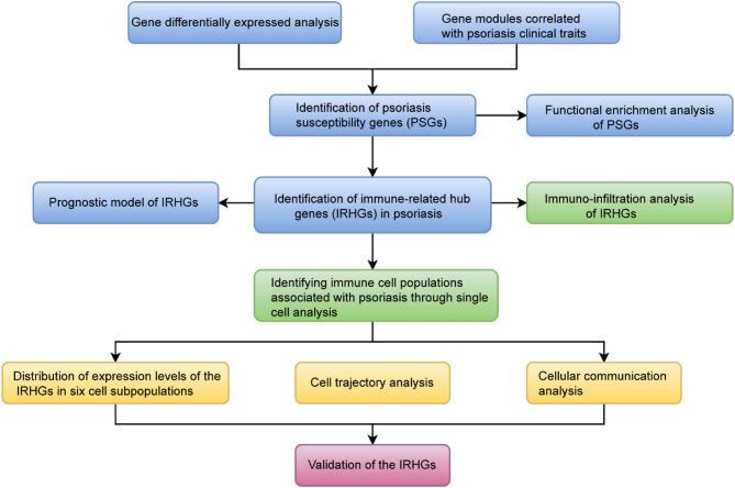 https://cdn.ncbi.nlm.nih.gov/pmc/blobs/22ab/12098866/67ab7f936cb0/41598_2025_2822_Fig1_HTML.jpg