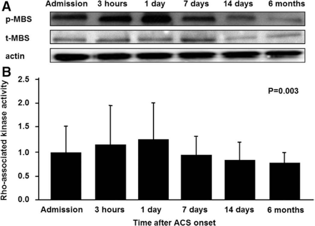 https://cdn.ncbi.nlm.nih.gov/pmc/blobs/22ad/4989242/3013e14a4f9f/nihms796379f2.jpg