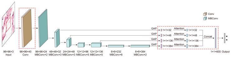 https://cdn.ncbi.nlm.nih.gov/pmc/blobs/22ad/7915222/44afe4c66fa9/cancers-13-00661-g005.jpg