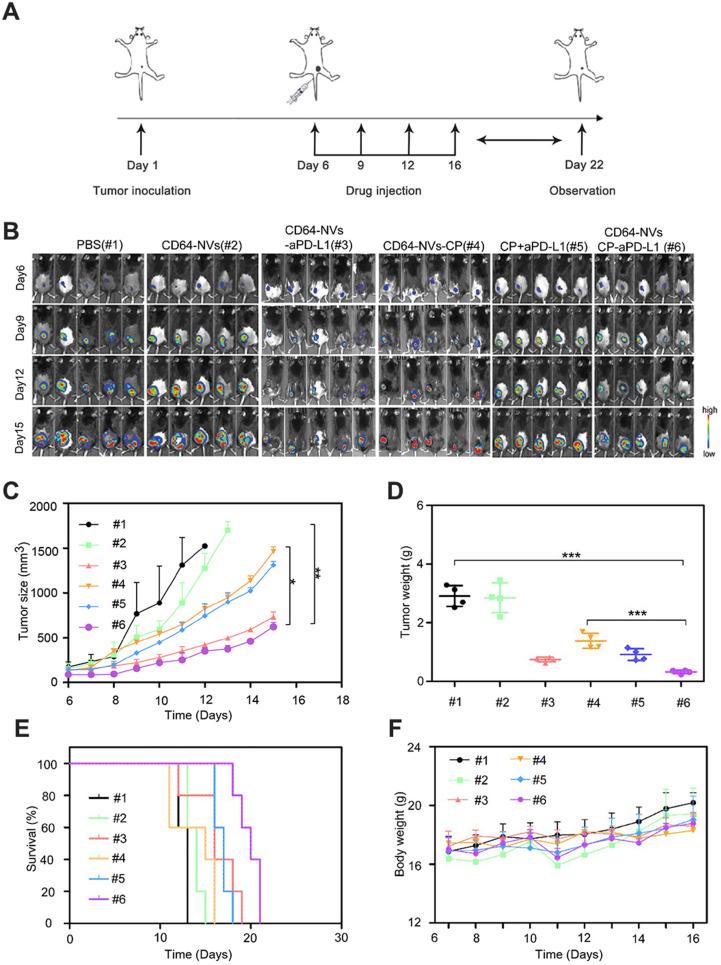 https://cdn.ncbi.nlm.nih.gov/pmc/blobs/22ad/8058713/d8bfecfd2a2b/thnov11p6033g004.jpg