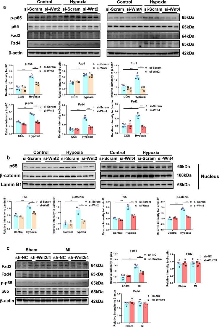 https://cdn.ncbi.nlm.nih.gov/pmc/blobs/22ae/8669316/4021a3f22e77/gr5.jpg