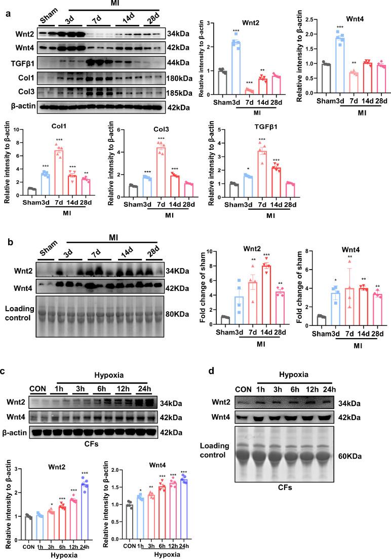 https://cdn.ncbi.nlm.nih.gov/pmc/blobs/22ae/8669316/91c7f58b3e84/gr2.jpg