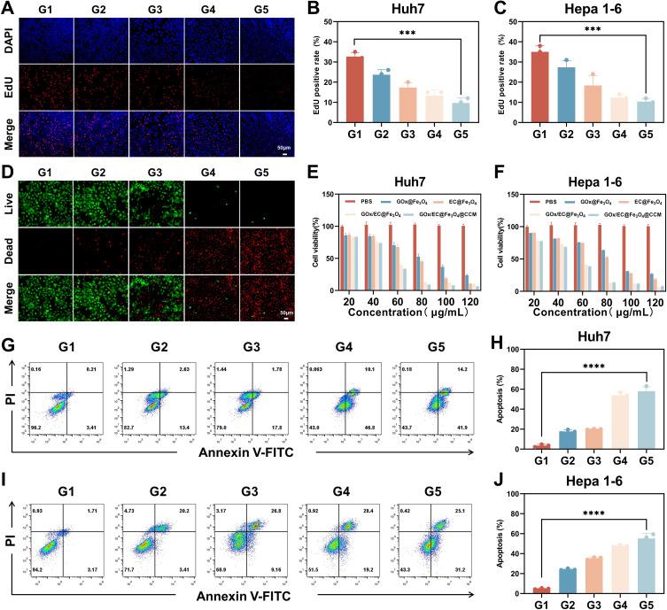 https://cdn.ncbi.nlm.nih.gov/pmc/blobs/22b1/11537158/23dadea58224/IJN-19-11105-g0005.jpg