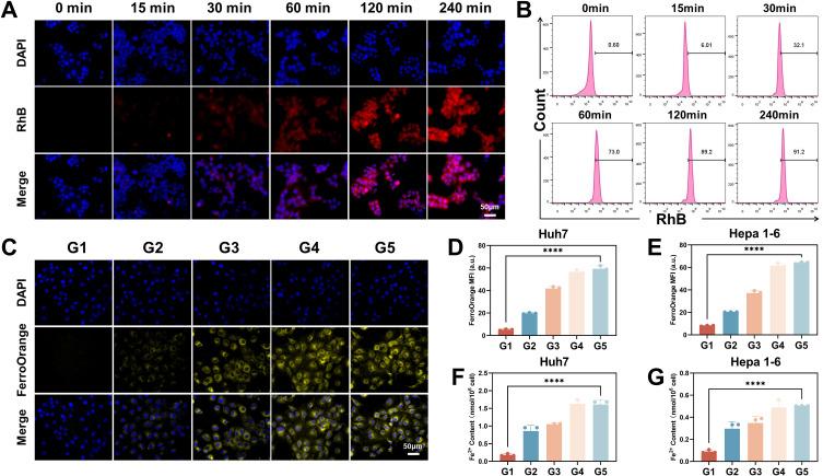 https://cdn.ncbi.nlm.nih.gov/pmc/blobs/22b1/11537158/30869d538940/IJN-19-11105-g0004.jpg