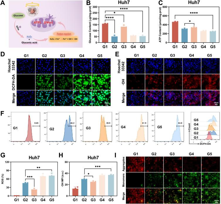 https://cdn.ncbi.nlm.nih.gov/pmc/blobs/22b1/11537158/dd572dc027ac/IJN-19-11105-g0006.jpg
