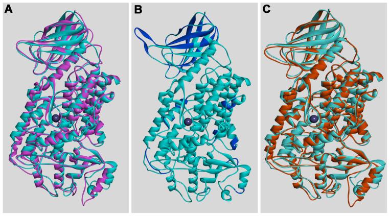 https://cdn.ncbi.nlm.nih.gov/pmc/blobs/22b3/10531496/00a930b19f8b/ijms-24-14154-g002.jpg