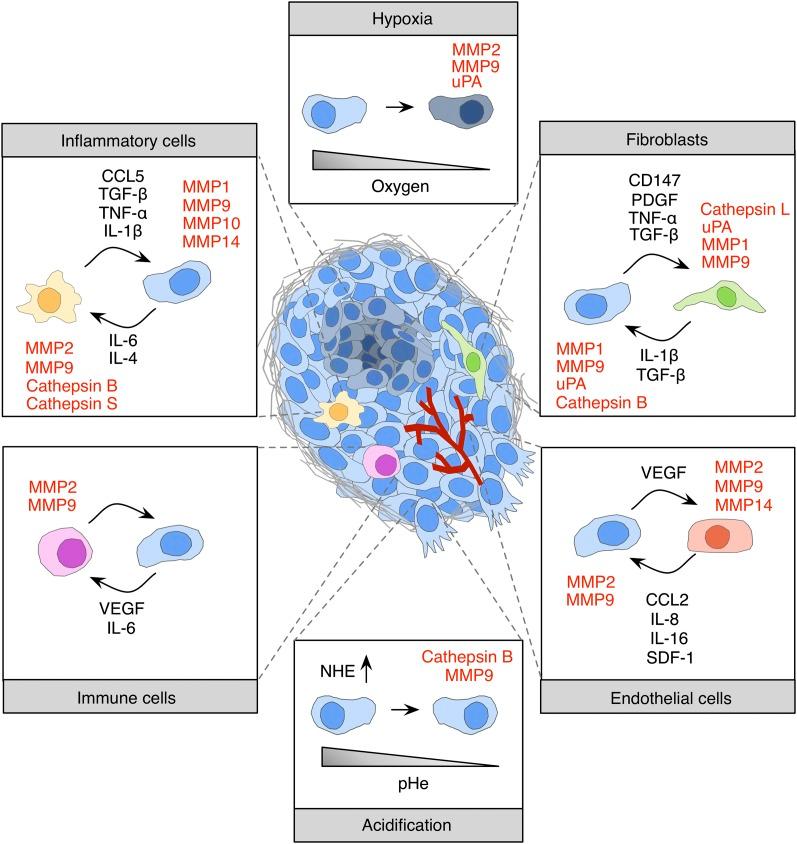 https://cdn.ncbi.nlm.nih.gov/pmc/blobs/22b4/4215179/4df6515e29f8/2331fig2.jpg