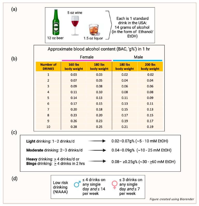 https://cdn.ncbi.nlm.nih.gov/pmc/blobs/22b6/11901717/26d7c38558c4/nutrients-17-00802-g001.jpg