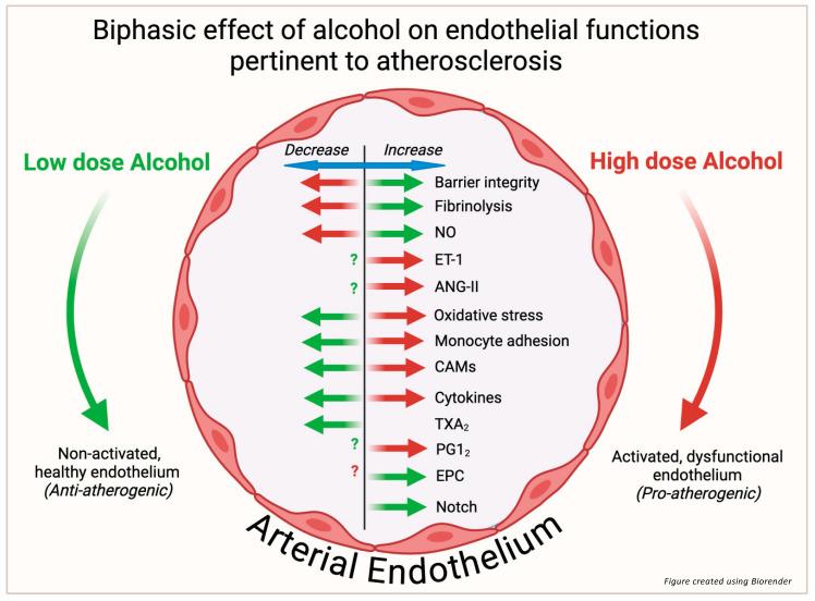 https://cdn.ncbi.nlm.nih.gov/pmc/blobs/22b6/11901717/46c673e52bc4/nutrients-17-00802-g002.jpg