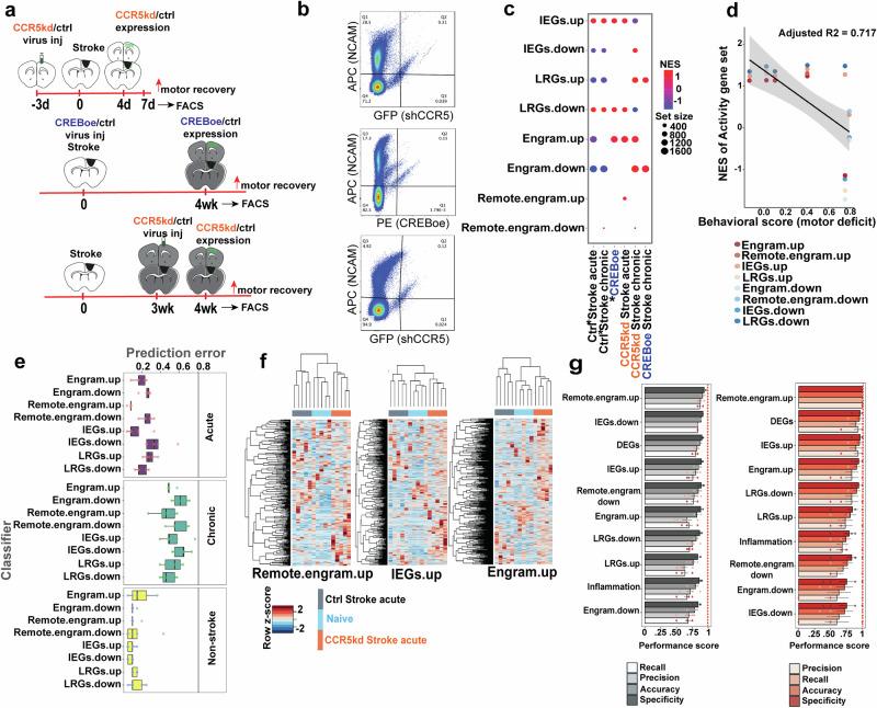 https://cdn.ncbi.nlm.nih.gov/pmc/blobs/22b7/11345429/7bf661f8ce93/42003_2024_6723_Fig1_HTML.jpg