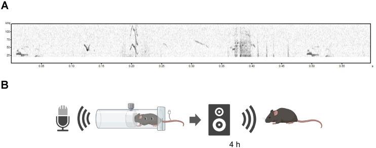 https://cdn.ncbi.nlm.nih.gov/pmc/blobs/22b7/12240302/cfeb90ec0222/pone.0324730.g001.jpg