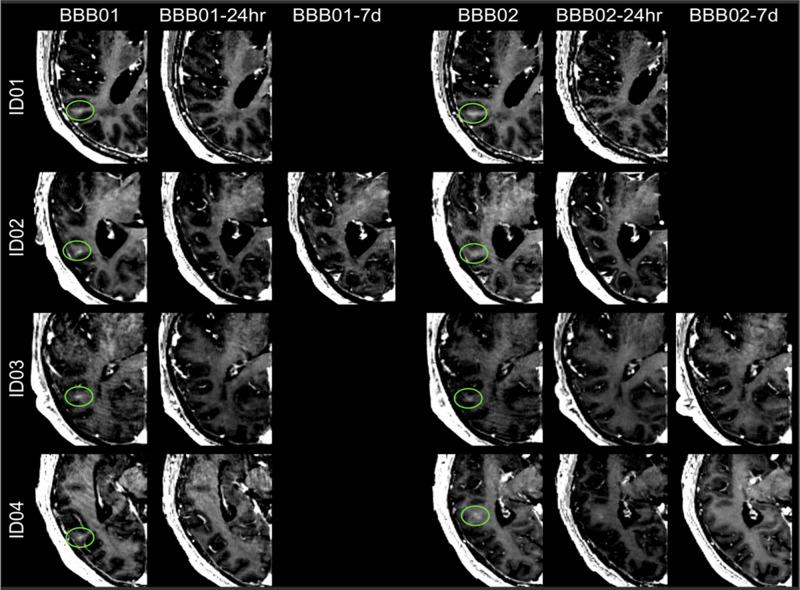 https://cdn.ncbi.nlm.nih.gov/pmc/blobs/22b7/7859400/c47fbfff1ab4/41467_2021_21022_Fig3_HTML.jpg