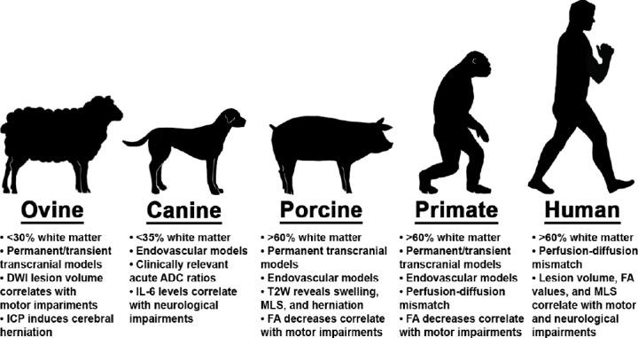 https://cdn.ncbi.nlm.nih.gov/pmc/blobs/22b8/7059570/f8037a59fd49/NRR-15-1377-g001.jpg