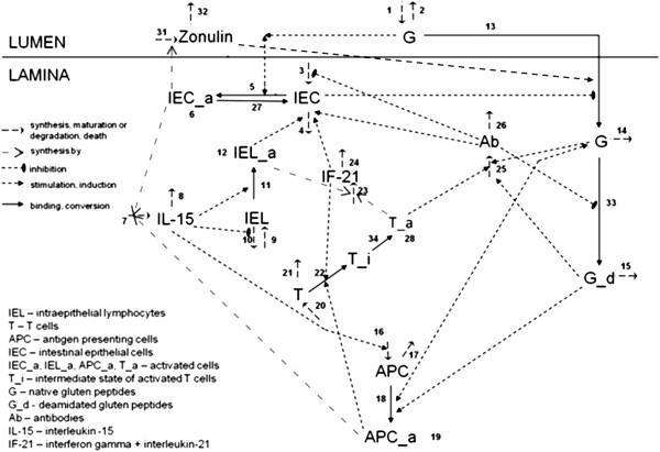 https://cdn.ncbi.nlm.nih.gov/pmc/blobs/22ba/3706242/62a5f17cb400/1752-0509-7-56-1.jpg
