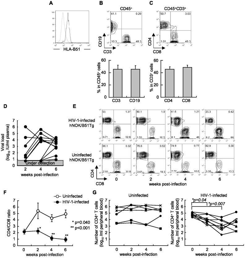https://cdn.ncbi.nlm.nih.gov/pmc/blobs/22bb/3412802/66fbd041c828/pone.0042776.g001.jpg