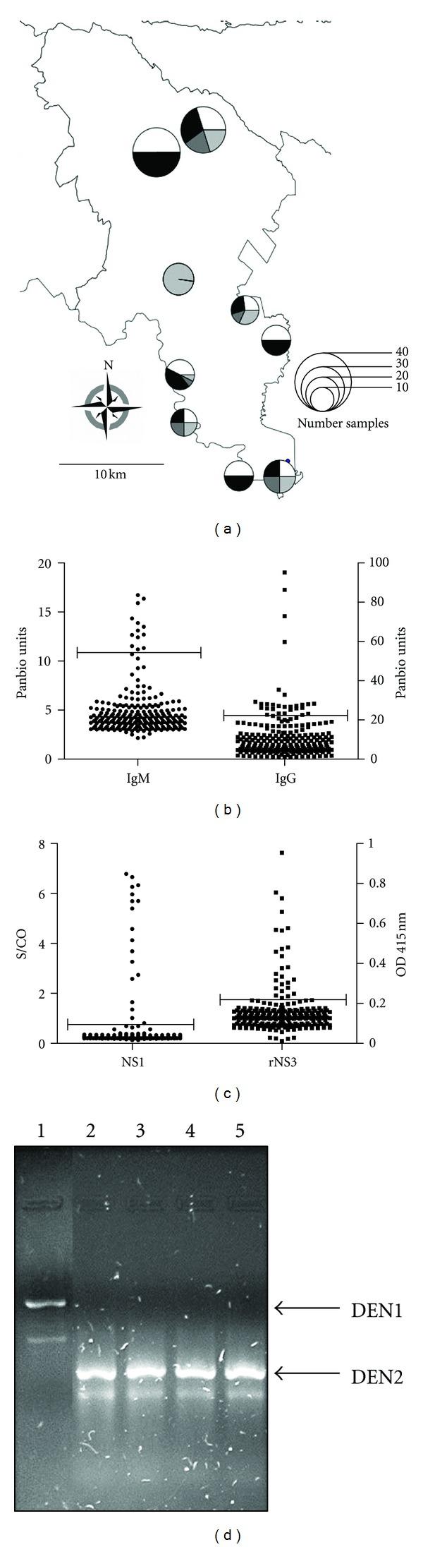 https://cdn.ncbi.nlm.nih.gov/pmc/blobs/22bd/3518973/5fc959556dae/JTM2012-956875.003.jpg