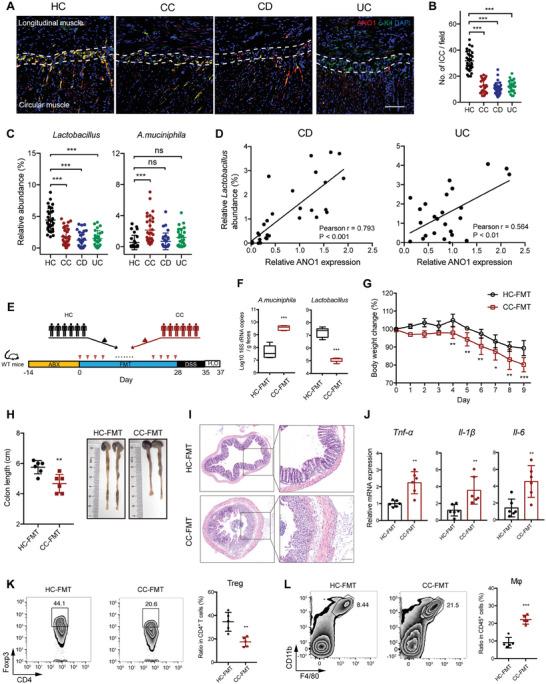 https://cdn.ncbi.nlm.nih.gov/pmc/blobs/22be/11132037/f29c2300399d/ADVS-11-2306297-g004.jpg