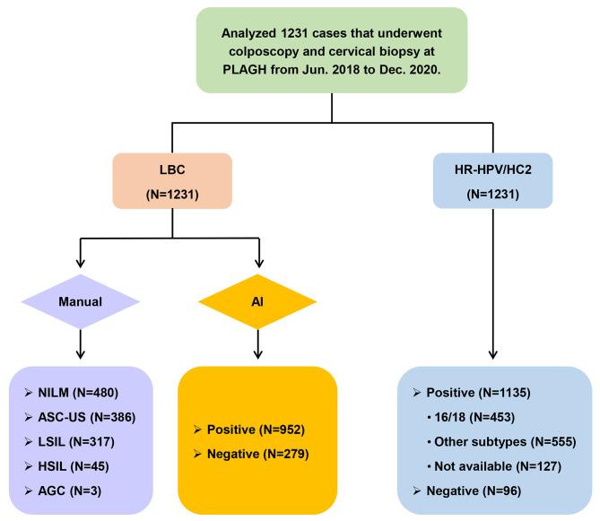 https://cdn.ncbi.nlm.nih.gov/pmc/blobs/22be/11212367/d15a80f043ec/12885_2024_12532_Fig4_HTML.jpg