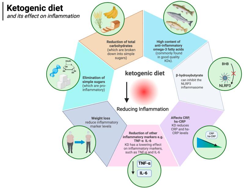 https://cdn.ncbi.nlm.nih.gov/pmc/blobs/22be/11945412/19811ef54b0a/nutrients-17-00965-g005.jpg