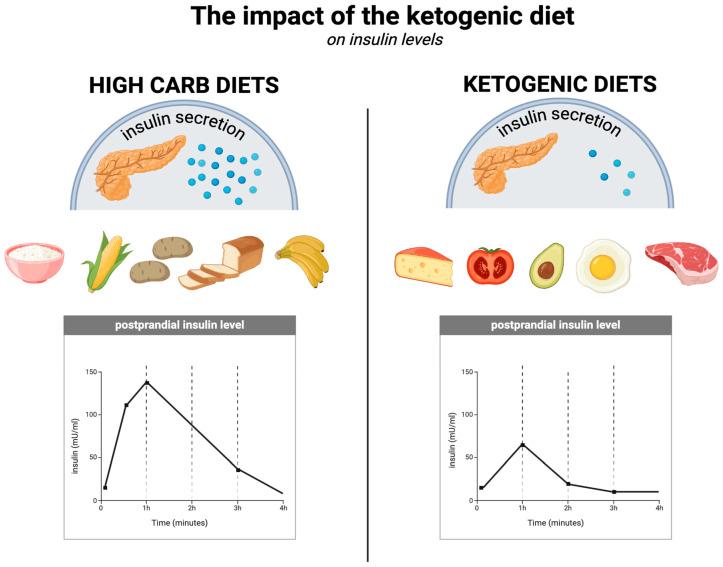 https://cdn.ncbi.nlm.nih.gov/pmc/blobs/22be/11945412/2fcc2cac3da3/nutrients-17-00965-g004.jpg