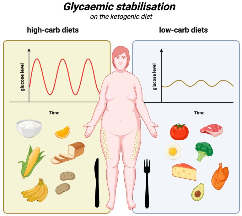 https://cdn.ncbi.nlm.nih.gov/pmc/blobs/22be/11945412/6b38951396d0/nutrients-17-00965-g003.jpg