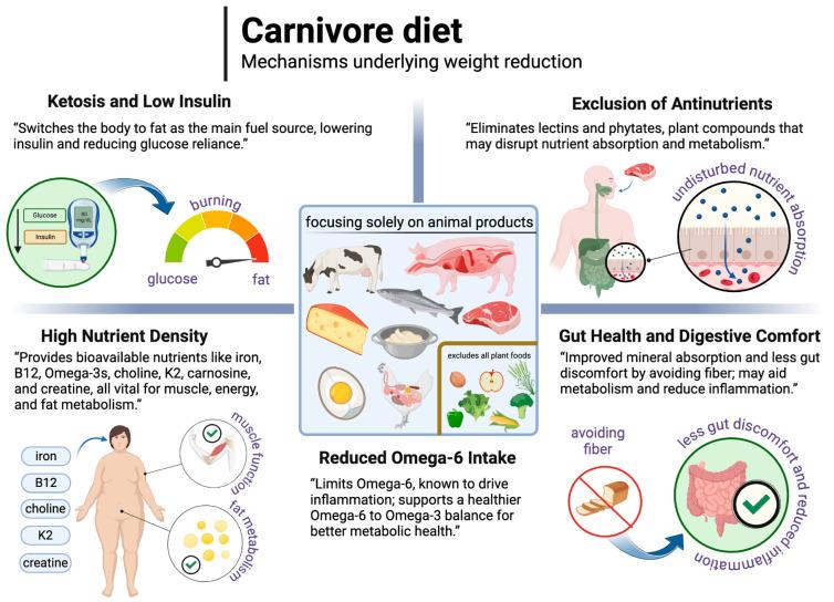 https://cdn.ncbi.nlm.nih.gov/pmc/blobs/22be/11945412/e7694100c983/nutrients-17-00965-g009.jpg