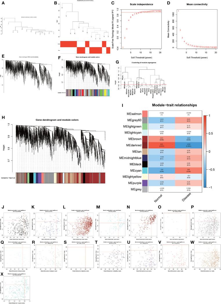 https://cdn.ncbi.nlm.nih.gov/pmc/blobs/22c2/8812255/de6308a7e9f6/fimmu-12-814278-g003.jpg