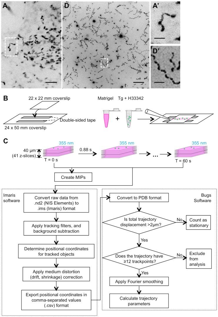 https://cdn.ncbi.nlm.nih.gov/pmc/blobs/22c3/3906025/81205d6172d6/pone.0085763.g001.jpg