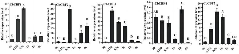 https://cdn.ncbi.nlm.nih.gov/pmc/blobs/22c5/10891952/4b8032792d96/plants-13-00549-g006.jpg