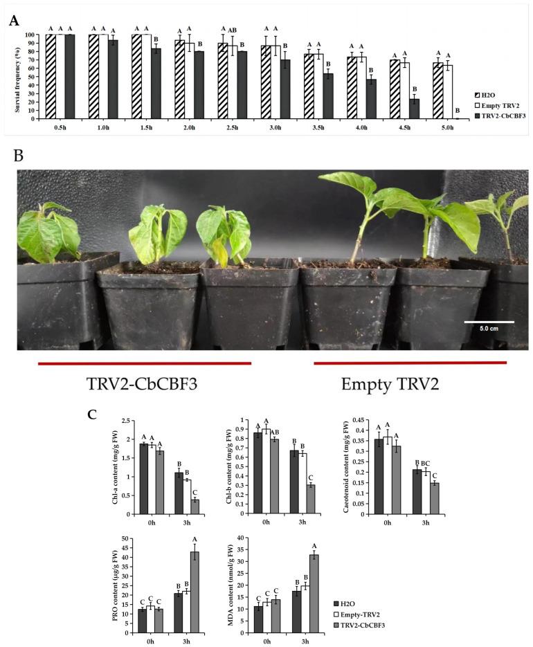 https://cdn.ncbi.nlm.nih.gov/pmc/blobs/22c5/10891952/8eea14b37b0b/plants-13-00549-g008.jpg