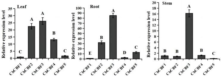 https://cdn.ncbi.nlm.nih.gov/pmc/blobs/22c5/10891952/fd6baa4a2e40/plants-13-00549-g005.jpg