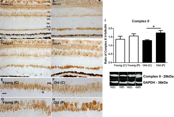 https://cdn.ncbi.nlm.nih.gov/pmc/blobs/22c7/10153720/883a9eda3280/pone.0273882.g001.jpg