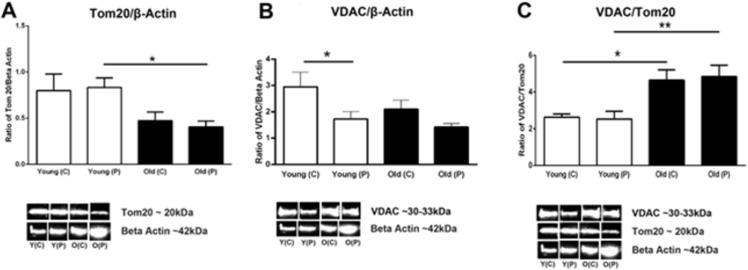 https://cdn.ncbi.nlm.nih.gov/pmc/blobs/22c7/10153720/a11983434c30/pone.0273882.g005.jpg