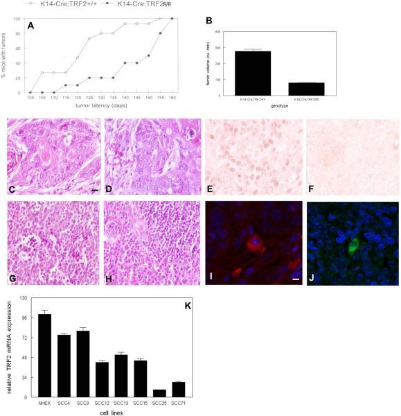 https://cdn.ncbi.nlm.nih.gov/pmc/blobs/22c7/3910501/1e153a5ce50d/nihms-549937-f0004.jpg