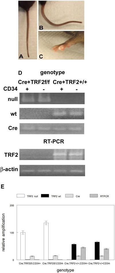 https://cdn.ncbi.nlm.nih.gov/pmc/blobs/22c7/3910501/59026dc25379/nihms-549937-f0001.jpg