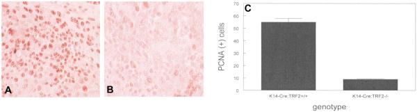 https://cdn.ncbi.nlm.nih.gov/pmc/blobs/22c7/3910501/ad558d061244/nihms-549937-f0005.jpg