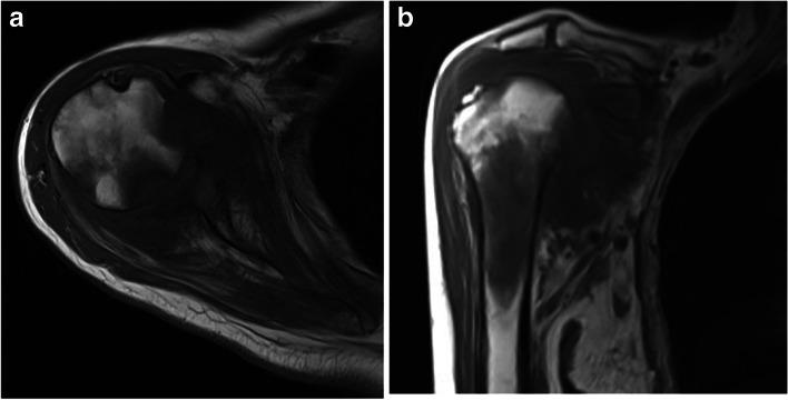 https://cdn.ncbi.nlm.nih.gov/pmc/blobs/22c9/9118805/31a37a27d7aa/12891_2022_5385_Fig2_HTML.jpg