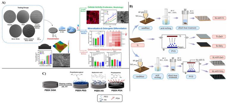 https://cdn.ncbi.nlm.nih.gov/pmc/blobs/22ca/12300515/395ac9b48073/nanomaterials-15-01073-g006.jpg