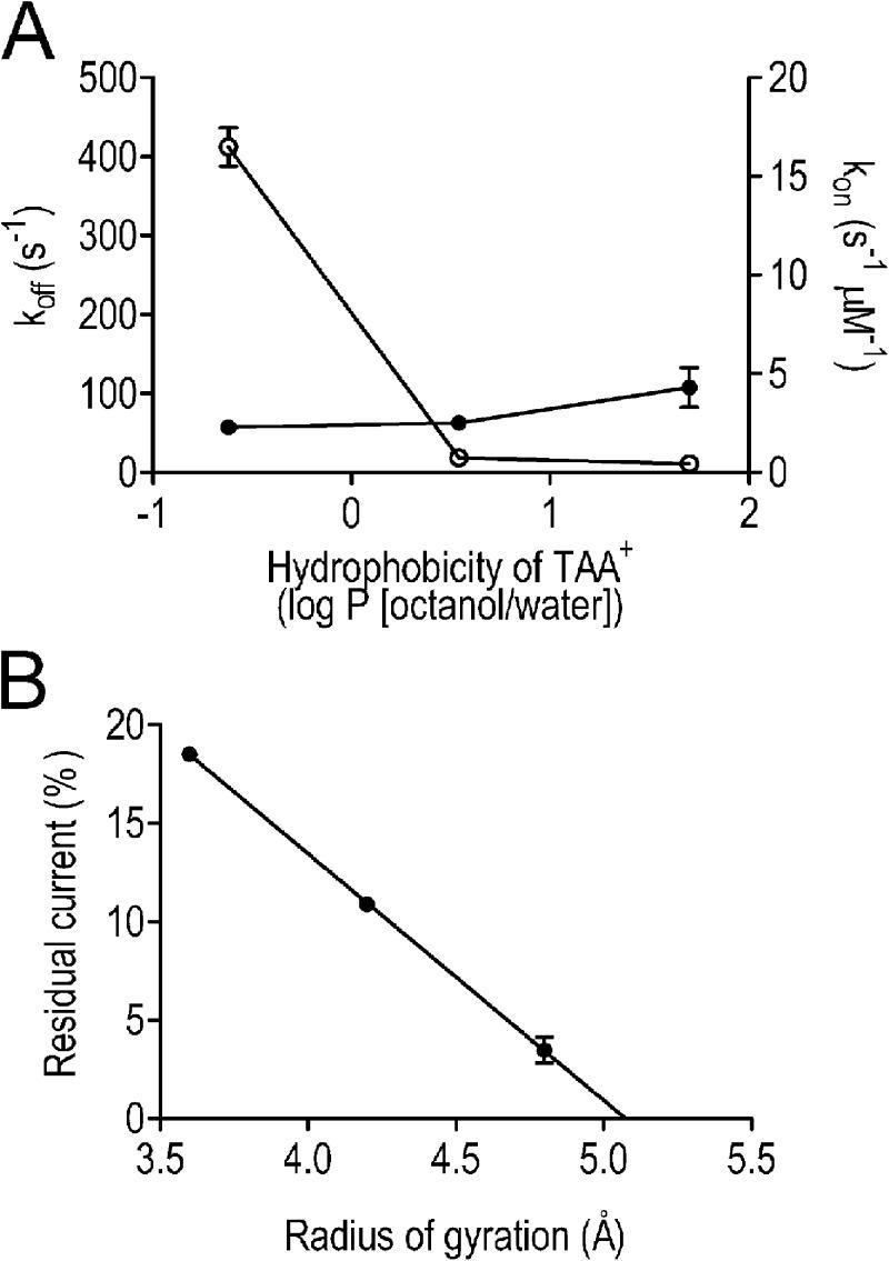https://cdn.ncbi.nlm.nih.gov/pmc/blobs/22ca/3434103/bccbd17f77be/JGP_201210851_Fig2.jpg