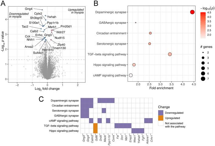 https://cdn.ncbi.nlm.nih.gov/pmc/blobs/22cb/11772478/836f54ee46fa/fmed-11-1479891-g0004.jpg