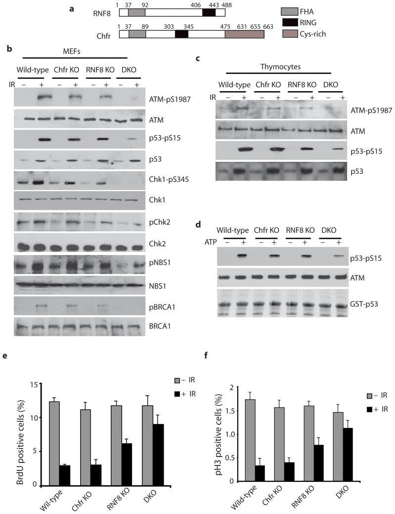 https://cdn.ncbi.nlm.nih.gov/pmc/blobs/22cc/3130800/0c5bdced63a7/nihms290595f1.jpg