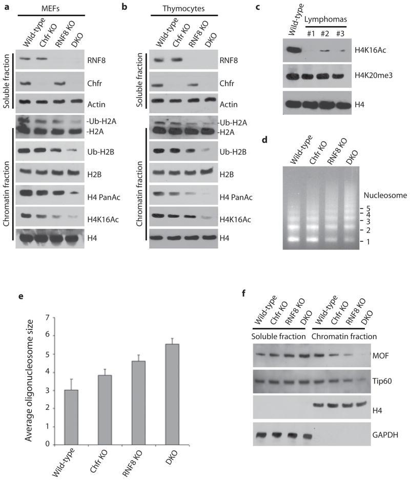 https://cdn.ncbi.nlm.nih.gov/pmc/blobs/22cc/3130800/27e1b4e0273b/nihms290595f5.jpg