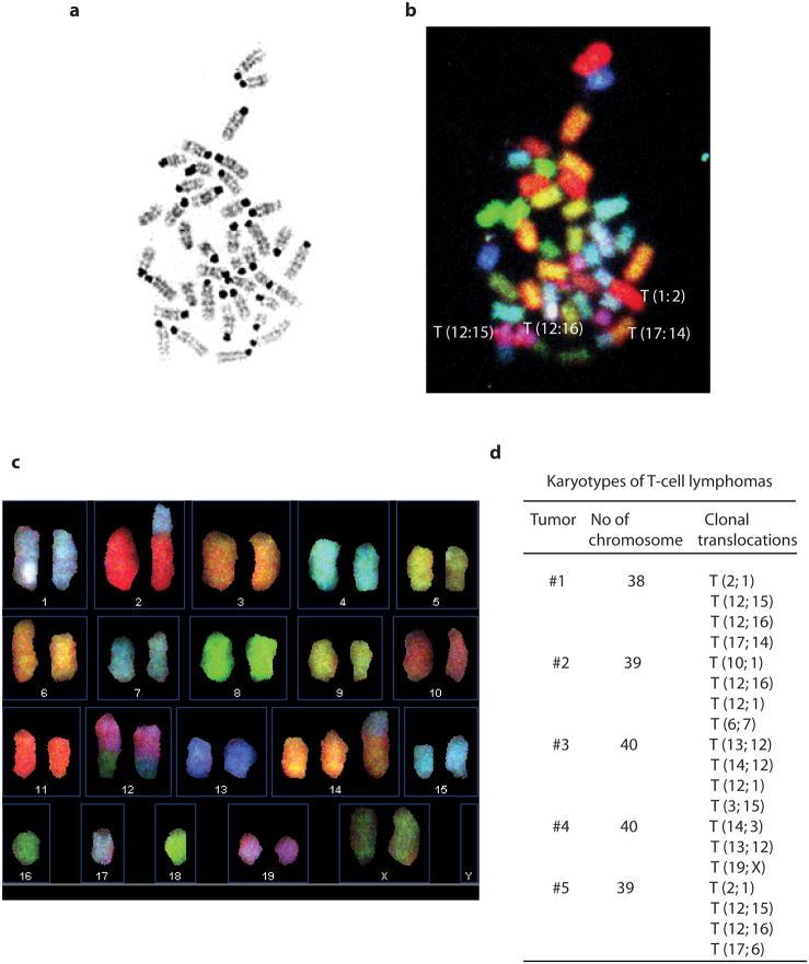 https://cdn.ncbi.nlm.nih.gov/pmc/blobs/22cc/3130800/62cc6dea8d4c/nihms290595f3.jpg
