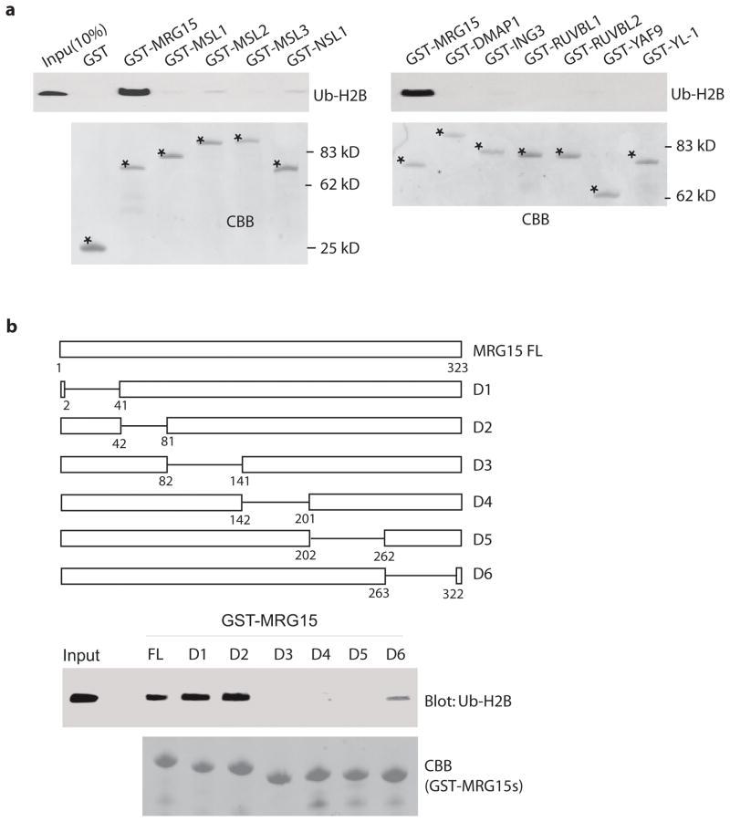 https://cdn.ncbi.nlm.nih.gov/pmc/blobs/22cc/3130800/ac534cfc2316/nihms290595f6a.jpg